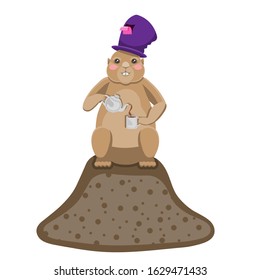 A Groundhog pours tea from a teapot into a Cup with a top hat on its head standing on a burrow on a white isolated background. Vector image. Cartoon eps 10