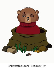 Groundhog Red Sweater Crawling Out Hole 