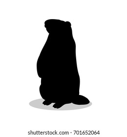 Groundhog rodent black silhouette animal. Vector Illustrator.