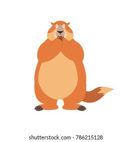 Groundhog scared OMG. Woodchuck Oh my God emoji. Frightened Marmot. Groundhog day Vector illustration