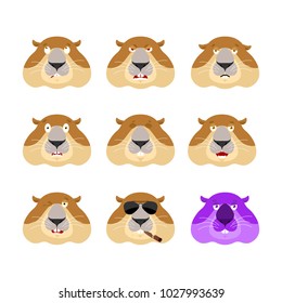 Groundhog set emoji avatar. sad and angry face. guilty and sleeping. Woodchuck sleeping emotion face. marmot  Eggplant. Groundhog day Vector illustration