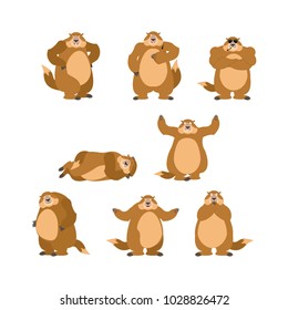 Groundhog set poses and motion. Woodchuck happy and yoga. Marmot sleeping and angry. guilty and sad. Groundhog day Vector illustration