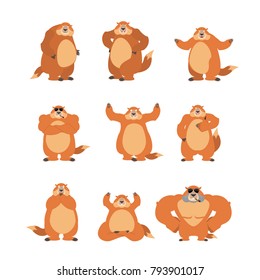 Groundhog set poses and motion. Woodchuck happy and yoga. Marmot sleeping and angry. guilty and sad. Groundhog day Vector illustration
