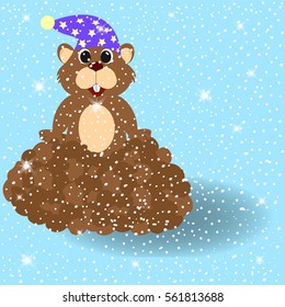 Groundhog with shadow on snowy background.