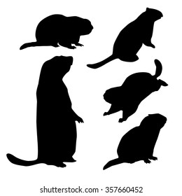 groundhog silhouette