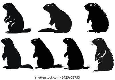 Groundhog silhouette design, groundhog black vector design, groundhog marmot silhouette.