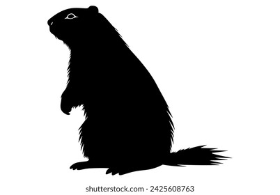 Groundhog silhouette design, groundhog black vector design, groundhog marmot silhouette.