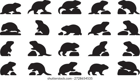 Groundhog Silhouetten zeigen verschiedene Haltungen und Positionen, perfekt für den Einsatz in Wildtierdesign-Projekten oder saisonale Bewusstseinsmaterialien im Zusammenhang mit Frühlingsveranstaltungen.