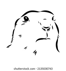 Groundhog sketch vector graphics black and white monochrome figure head