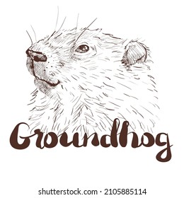 Groundhog sketch vector graphics figure head. Groundhog lettering