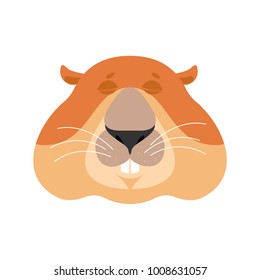 Groundhog sleeping emoji. Woodchuck asleep emotions. Marmot dormant. Groundhog day Vector illustration