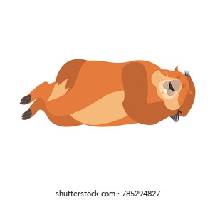 Groundhog sleeping. Woodchuck asleep emotions. Marmot dormant. Groundhog day Vector illustration