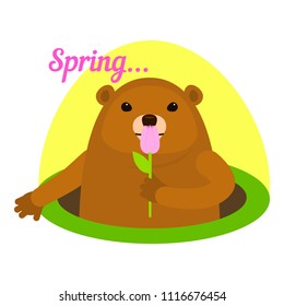 Groundhog at spring icon. Flat illustration of groundhog at spring vector icon for web design