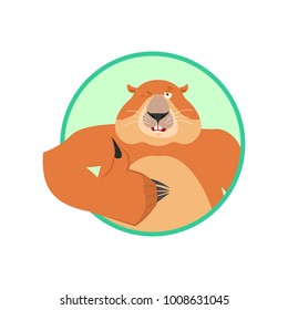 Groundhog thumbs up and winks. Woodchuck happy emoji. Groundhog day Vector illustration