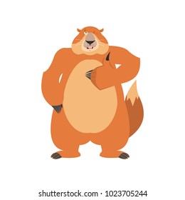 Groundhog thumbs up and winks. Woodchuck happy emoji. Groundhog day Vector illustration