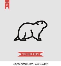 Groundhog vector icon, illustration symbol