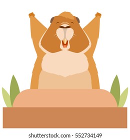 Groundhog wakes up