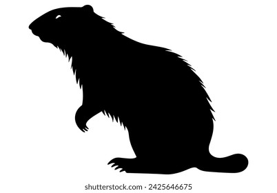 Groundhog Walking silhouette design, groundhog Walking black vector design,
