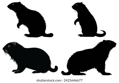 Groundhog Walking silhouette design, groundhog Walking black vector design,
