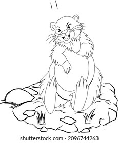 groundhog waving hand. animal coloring page easy animal coloring page design vector illustration