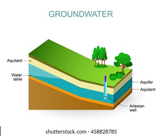 Groundwater and Artesian aquifer. Water table