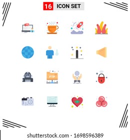 Group of 16 Flat Colors Signs and Symbols for internet; succulent plant; business; natural; aloe plant Editable Pack of Creative Vector Design Elements