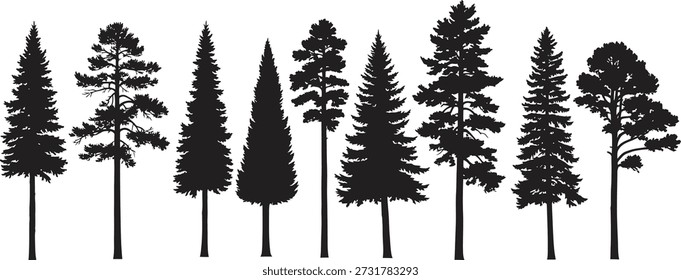Eine Gruppe von 9 schwarzen Silhouetten von Nadelbäumen mit unterschiedlichen Höhen und Zweigmustern