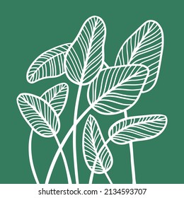 Group of abstract leaves in linear sketch style. Trendy minimalistic outline art of tropical palm leaf. Vector hand drawn illustration of exotic plant isolated on green background.