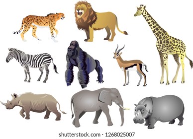 Group Of African Animal Wild Life , Cheetah, Lion, Giraffe, Zebra, Gorilla, Antelope, Rhino, Elephant, Hippopotamus - Vector Illustration