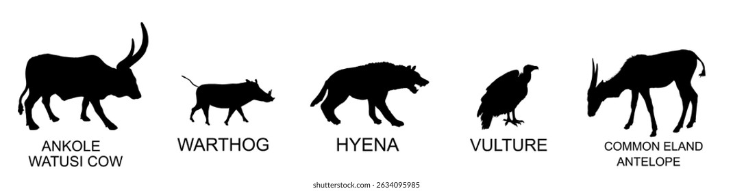 Gruppe afrikanische Tiere Sammlung Vektor Silhouette Illustration einzeln. Poster für Tiere. Ankole Watusi Kuh, Warzenschwein Symbol, Hyäne Form, Geier Schatten, Landantilope. Bewässerungsstätte in der Savanne.