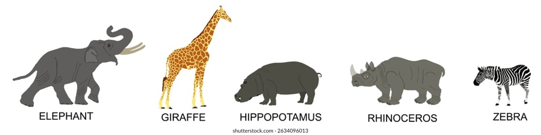 Grupo de Ilustración vectorial de colección de animales africanos aislados sobre fondo blanco. Póster de grandes animales. Elefante, jirafa, hipopótamo, rinoceronte, cebra. Herbívoro africano en lugar de riego en la sabana.