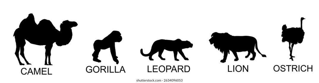 Grupo de animales africanos colección Vector silueta ilustración aislada. Póster de grandes animales. Camello, mono gorila, símbolo de leopardo, forma de león, sombra de ave avestruz. Lugar de riego en la sabana.