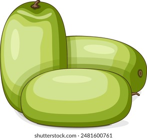 Group of Ali Baba Watermelon. Citrullus lanatus. Fruits and vegetables. Clipart. Isolated vector illustration.