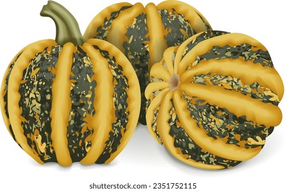 Group of American Tonda pumpkin or Americana Tonda squash. Winter squash. Cucurbita pepo. Fresh, organic, raw fruits and vegetables. Isolated vector illustration.