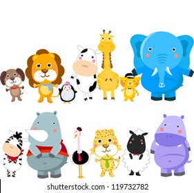  Group of animal