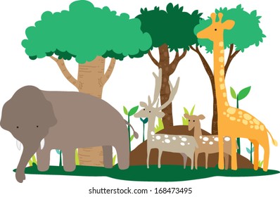 group of animal stand in the forest