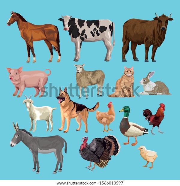 Group Animals Farm Characters Vector Illustration Stock Vector Royalty Free 1566013597
