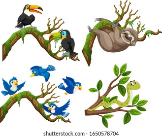 Group of animals on tree branch illustration