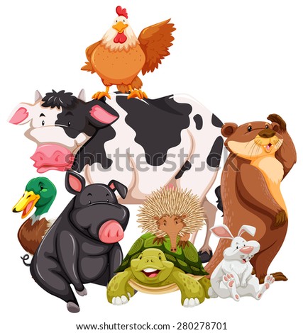 Image, Stock Photo pig Nature Animal