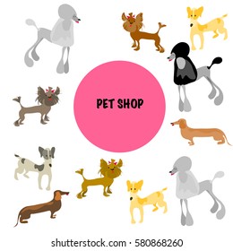 Group animals pet shop.