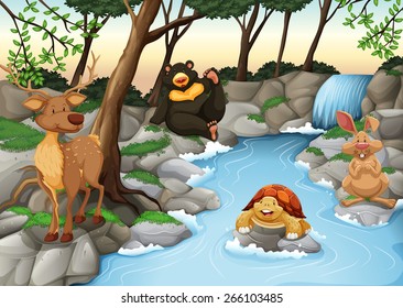 Group of animals relaxing at the river 