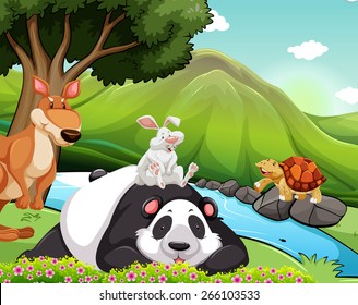 Group of animals sitting on the bank of a river
