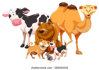 Group of animals standing together on white background
