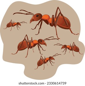 group of ant in  brown  color  illustration