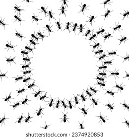 group of ants around an empty circle background 