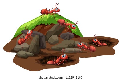 Group of ants living underground illustration