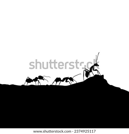 group of ants walk on the ground silhouette illustration