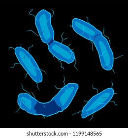 Group of Aquificales bacterias on black background, vector illustration