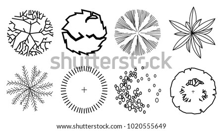 Group of architectural tree architectural layout design. Symbol of various kind of trees in top view