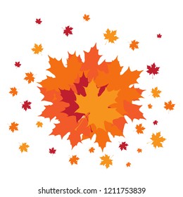 Group of autumn leaves. Vector illustration design